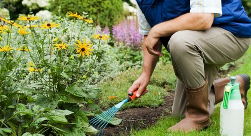 Gardening team planning accessible garden layout with client