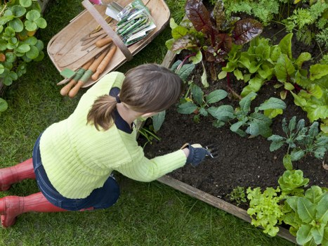 Tools and techniques for effective hedge trimming