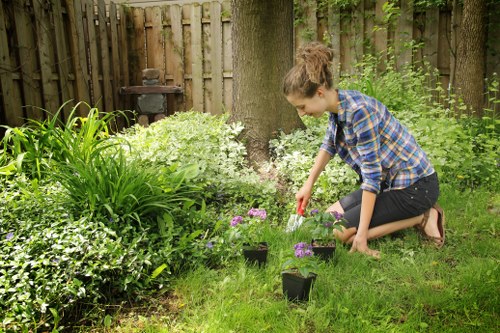 Lawn mowing and garden care in Whitechapel